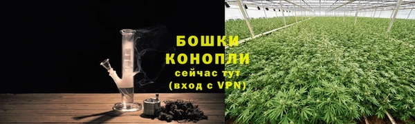 PSILOCYBIN Богородск